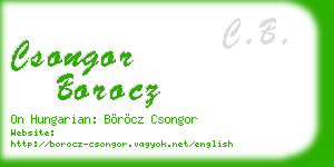 csongor borocz business card